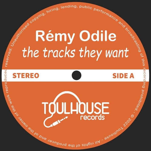 Remy Odile - The Tracks they want [TOULDIG007]